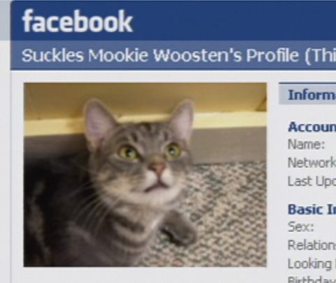 facebook